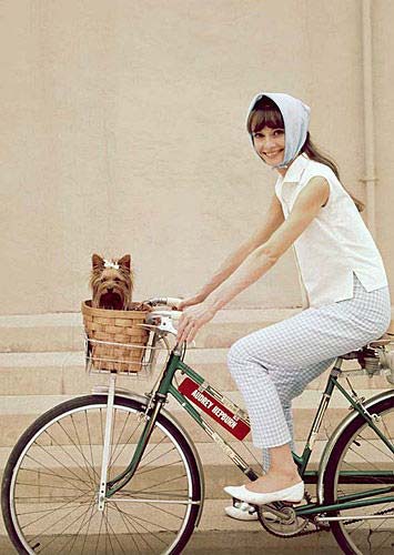 Audrey Hepburn 知道你最爱狗狗