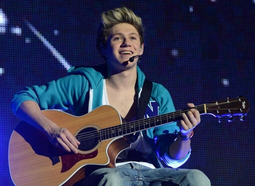 单向乐队（One Direction)是一支来自英国的男子乐队组合。有些地方音译为一世人乐队。成员包括：Zayn Malik，Liam Payne，Niall Horan，Louis Tomlinson和Harry Styles。五位成员的平均年龄都在19岁左右。这五个年轻帅气的小伙子通过英国一档著名选秀节目The x-factor（英国偶像）脱颖而出，在参赛的最初，他们并不是一个组合，他们作为个人选手通过了选拔赛并进入了训练营，却没有成功进入男生组评委之家。2010年7月23日，在评委NicoleScherzinger的提议下，这五个青少年被组成了一个组合，从而晋级，并一举夺得了当季比赛的季