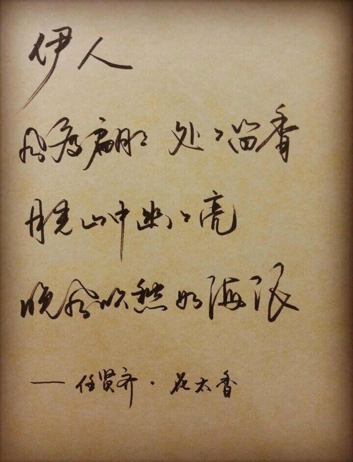 美字控