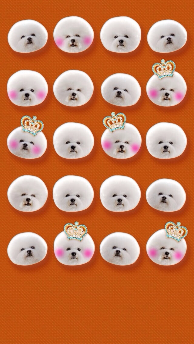 可爱比熊90 - 堆糖,美图壁纸兴趣社区