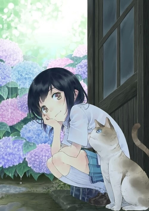 少女与猫