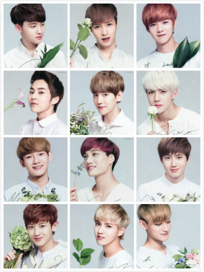 Nature republic官图 *EXO