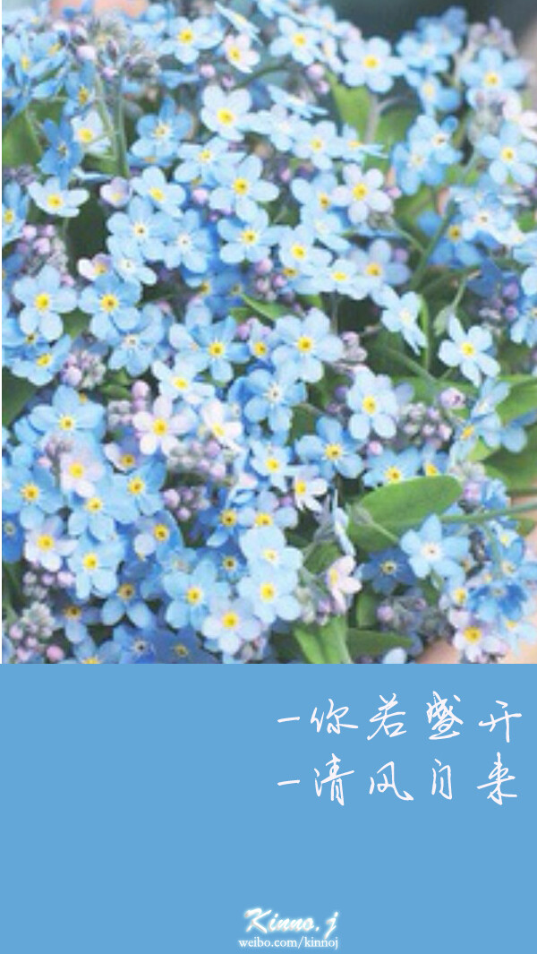 你若盛开清风自来