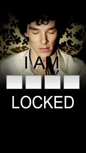   I'M  SHERLOCKED .