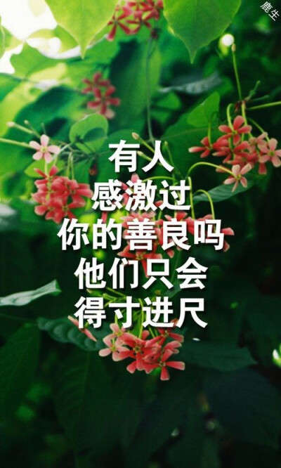 牙好爱吃糖※图 文艺 文字 抒情