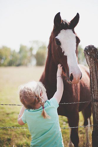 Horse We Heart It