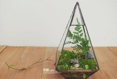 #屿路生活#灯火渐渐熄灭，白天的喧嚣热闹也已平静下来。忽的，一曲笛声在暮色中飞扬，慢慢地升到有着星辰和皎月的天空中，由远而近，飘过耳际。是谁的笛声拨弄风弦？静心聆听，原来是多多洛和小伙伴们，在这梦境般的…