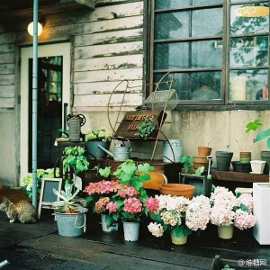 喜欢雨后的木质阳台，香香的鲜草