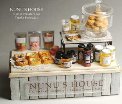 Nunu's house miniatures