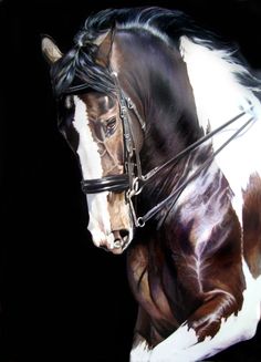Horse We Heart It