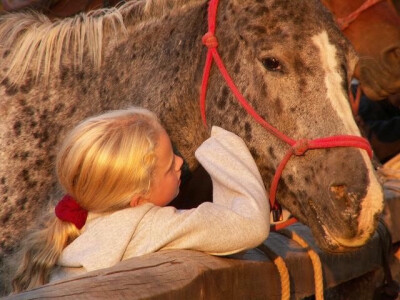 Horse We Heart It