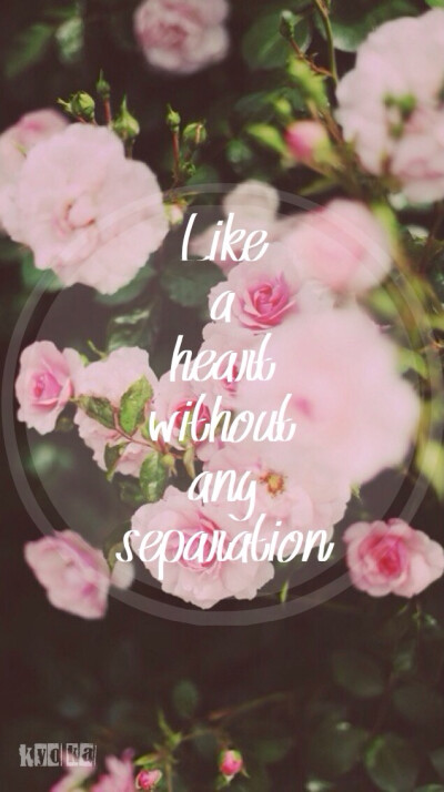  【iPhone5自制壁纸】 &amp; Like a heart without any separation、