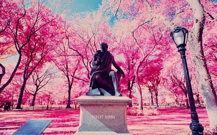 利用已经停产的柯达红外胶片，来自美国纽约的摄影师肖恩·林奇拍摄了一系列奇异的景观图片。在这些拍摄于尼泊尔的图片中，植物叶片呈现出朱红色。红外胶片捕捉的是光线中的红外部分，颇具视觉冲击力。一开始肖恩·林奇是用数码相机拍摄红外图片，之后他决定尝试用红外胶卷拍摄。据介绍，这种拍摄的难度大得多。