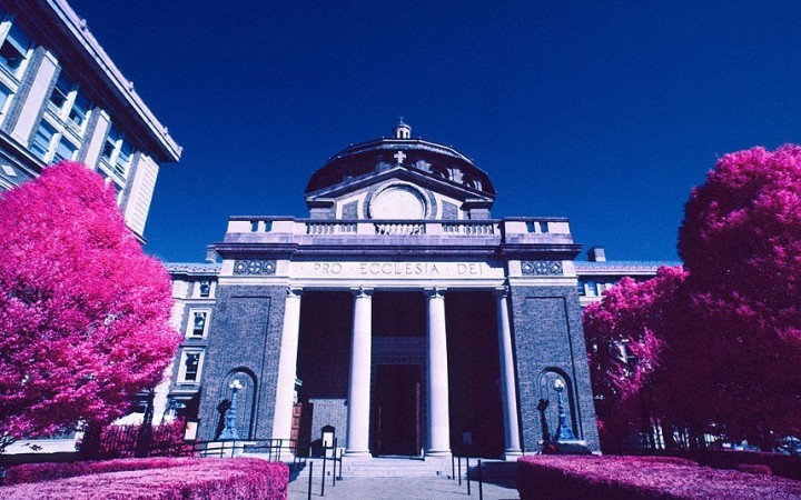 利用已经停产的柯达红外胶片，来自美国纽约的摄影师肖恩·林奇拍摄了一系列奇异的景观图片。在这些拍摄于尼泊尔的图片中，植物叶片呈现出朱红色。红外胶片捕捉的是光线中的红外部分，颇具视觉冲击力。一开始肖恩·林奇是用数码相机拍摄红外图片，之后他决定尝试用红外胶卷拍摄。据介绍，这种拍摄的难度大得多。