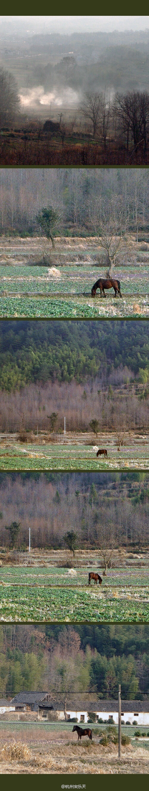 风景