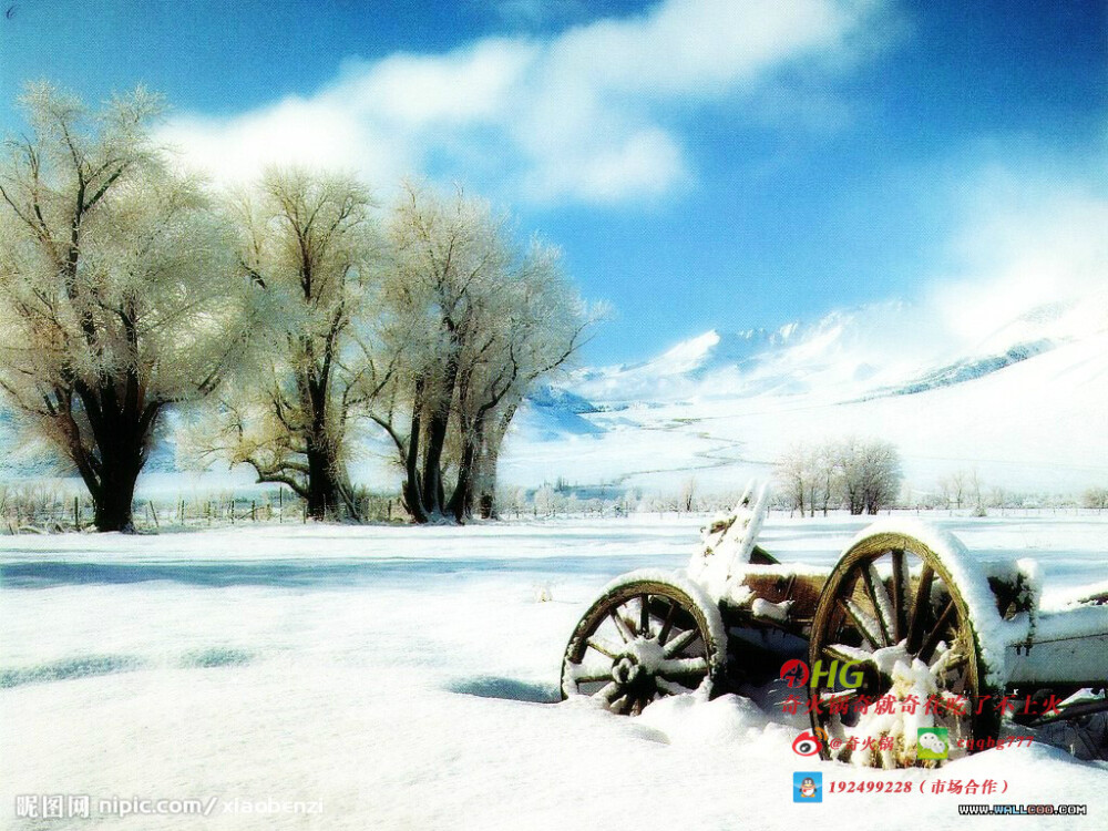 雪景 风景