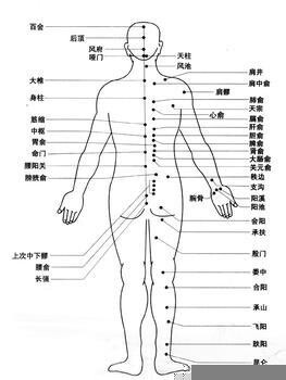 穴位