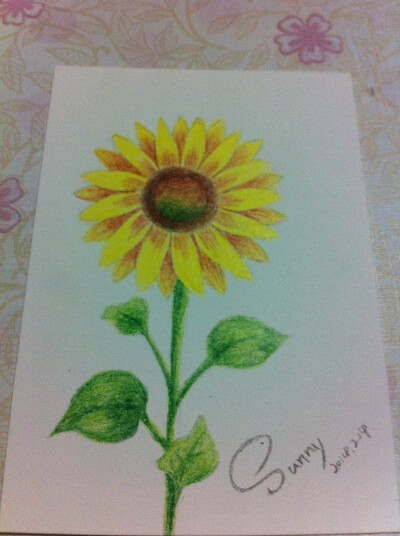 sunflower