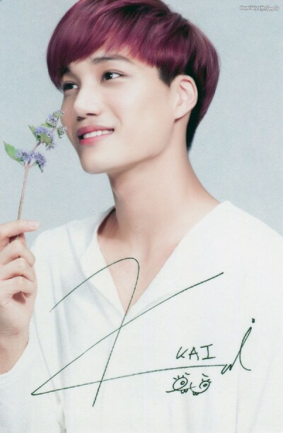 EXO-kai