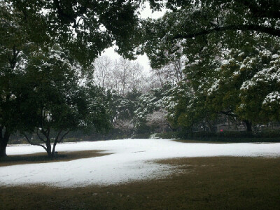 2014年的雪景，喜欢如此美美的静。。。