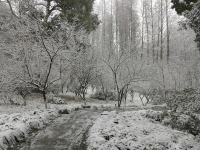 2014年的雪景，喜欢如此美美的静。。。