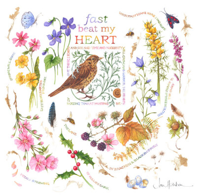 Fast Beat My Heart by Jan Harbon. 因为妖艳的罂粟，知道了Jan Harbon, 继而喜欢她所有的花草