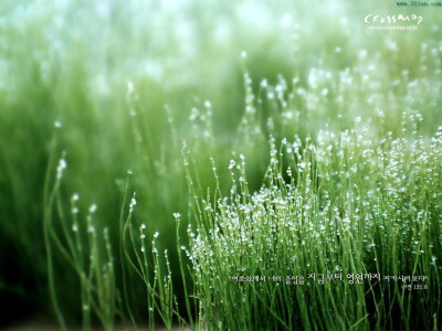 雨后的晴天，谁敢说不美丽？