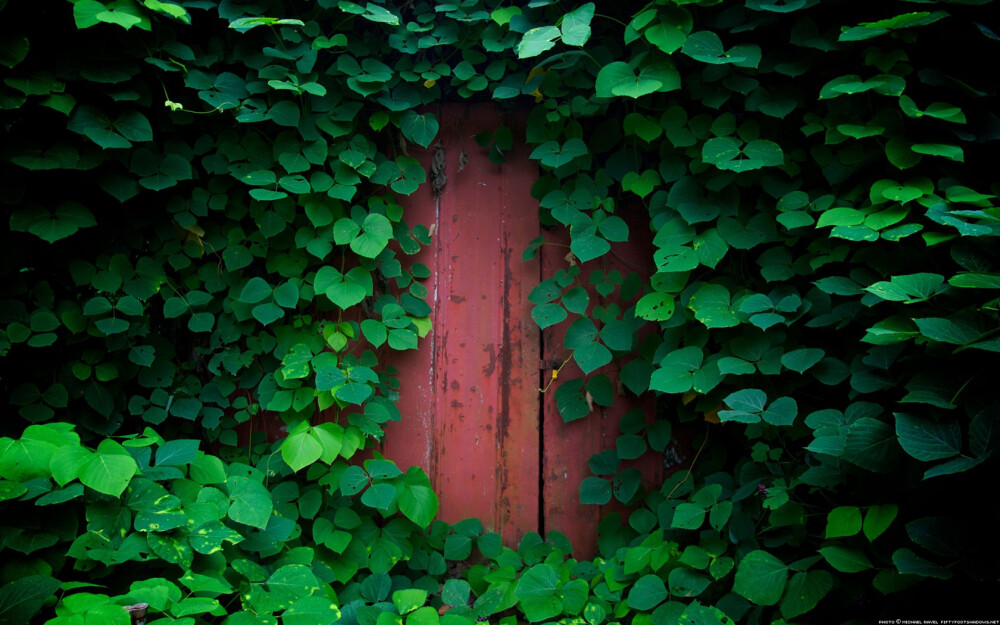 好像推开那扇门，看看童话世界是不是在那一头。。。