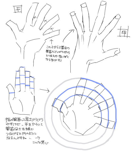 手部理解