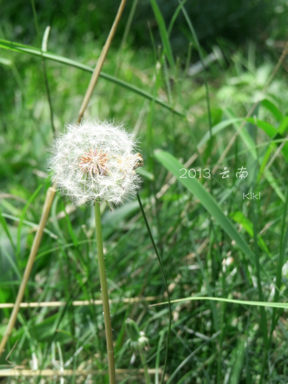 自個兒造的小圖圖-雲南 昆明