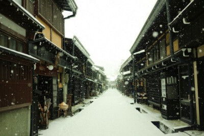 灼灼其华—下雪天的美