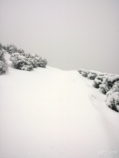 2014年的雪景，喜欢如此美美的静。。。