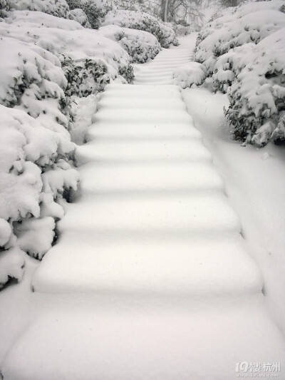 2014年的雪景，喜欢如此美美的静。。。