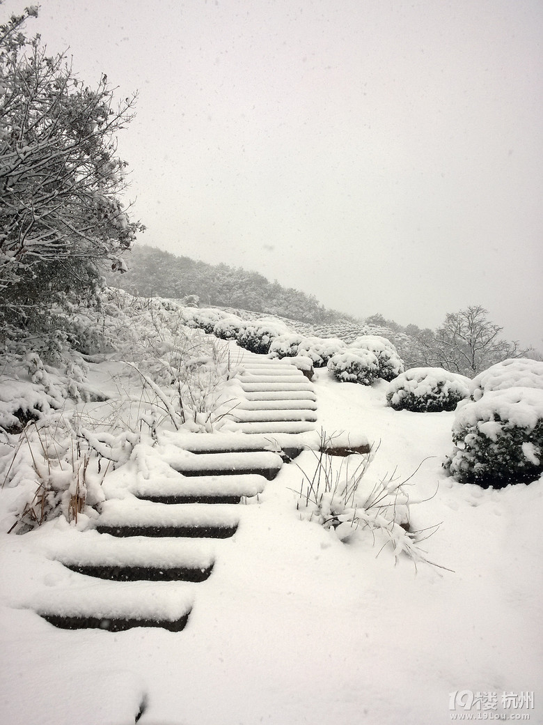 2014年的雪景，喜欢如此美美的静。。。