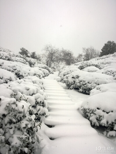 2014年的雪景，喜欢如此美美的静。。。