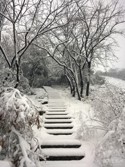 2014年的雪景，喜欢如此美美的静。。。