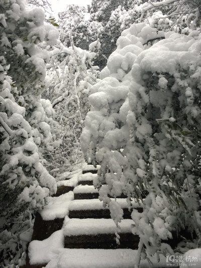 2014年的雪景，喜欢如此美美的静。。。