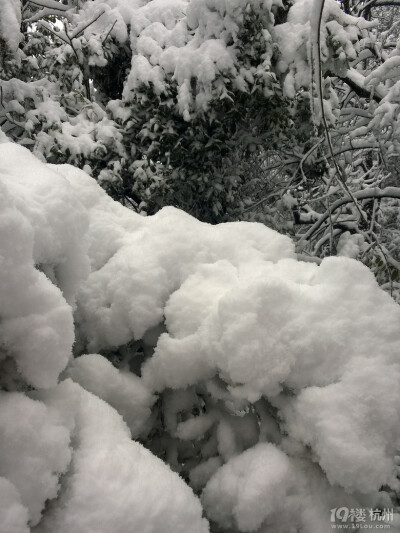 2014年的雪景，喜欢如此美美的静。。。