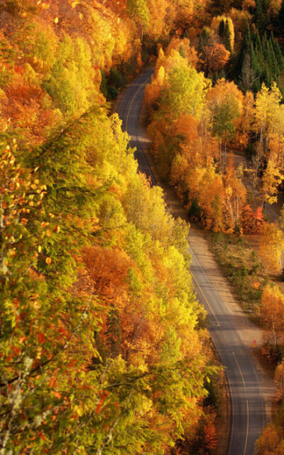 人生如行路，一路艰辛，一路风景。你的目光所及，就是你的人生境界。