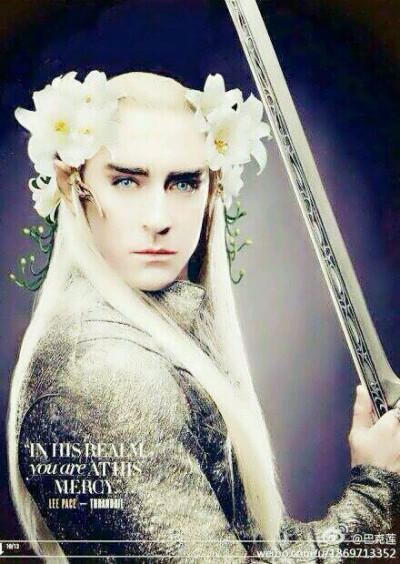 Lee Pace