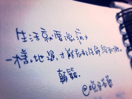 生活就要像疯子一样地过，才能忘记生命给我们的颠簸。