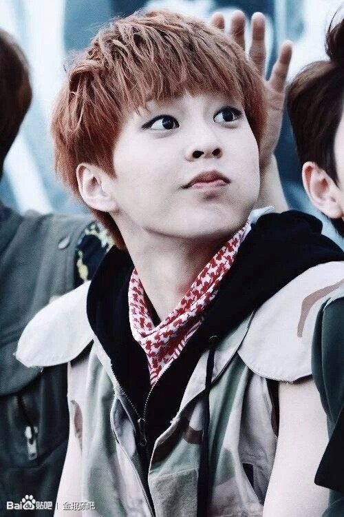 exo-XIU MIN