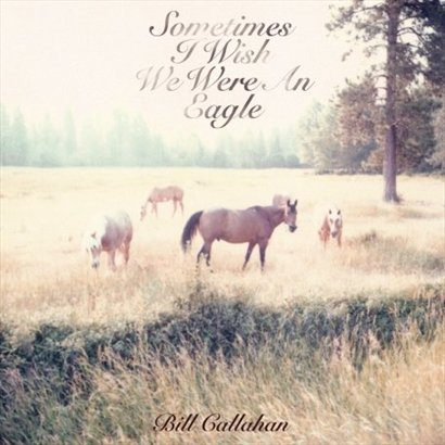 【专辑】Sometimes I Wish We Were an Eagle，【艺人】Bill Callahan，【发行时间】2009年04月14日..