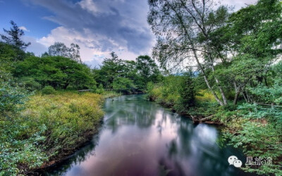 皮鲁斯河，马尔堡(Pelorus River, Marlborough)——密林河(Forest River)