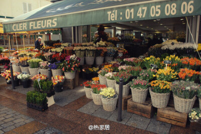 长大后要开个鲜花店