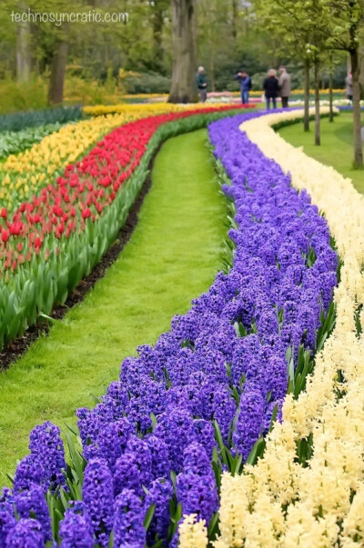 荷兰 库肯霍夫公园