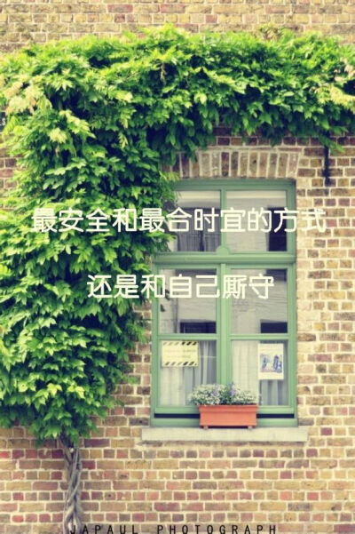 小清新壁纸