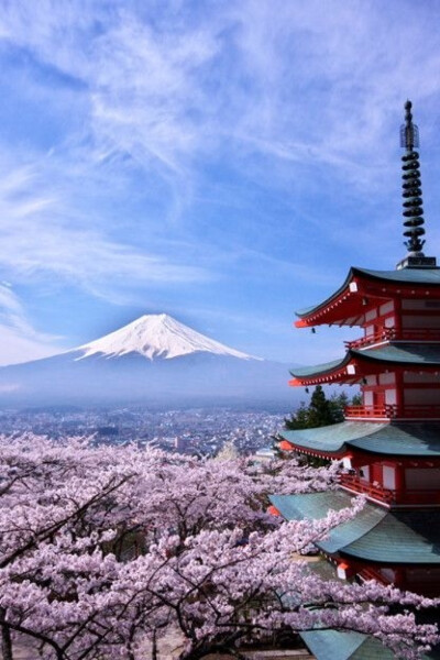 三月去哪里看樱花：日本，富士山