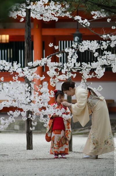 日本樱花季到了，你准备好了吗？