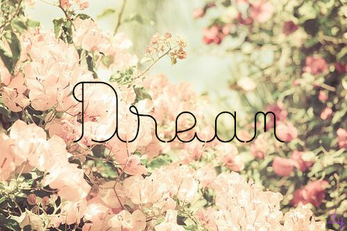 DREAM，花，小清新，电脑壁纸，配图。